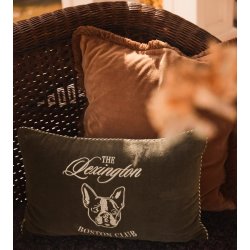 Lexington Organic Cotton Pillow Cover, Fudge