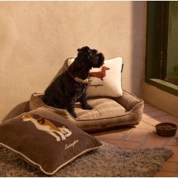 Lexington Dog Organic Cotton Velvet pudebetr�k, Stone