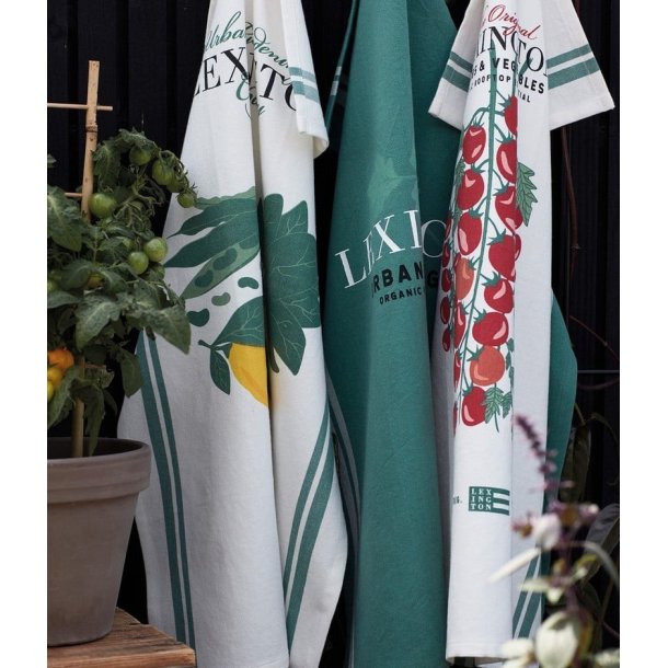 Lexington Tomato Organic Cotton Twill Kitchen Towel