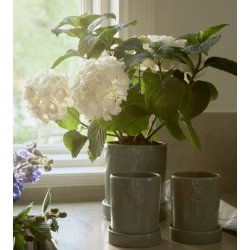 Lexington Terracotta Plant Pot M , Eucalyptus