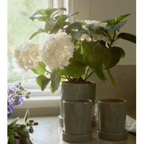 Lexington Terracotta Plant Pot M , Eucalyptus