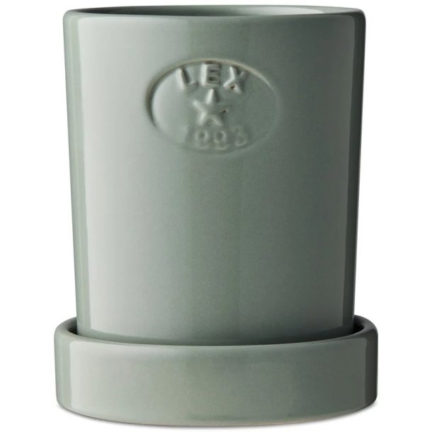 Lexington Terracotta Plant Pot M , Eucalyptus